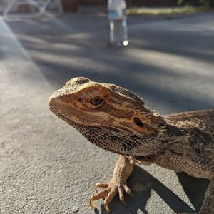 Meet your Posher, Jose